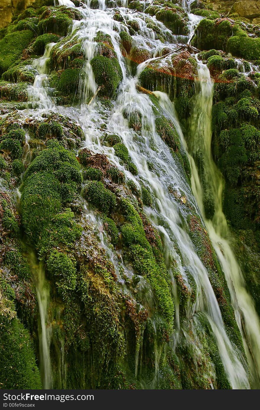 Foerst waterfall with sun galo