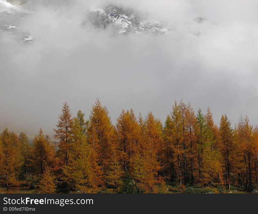 Alps in fall