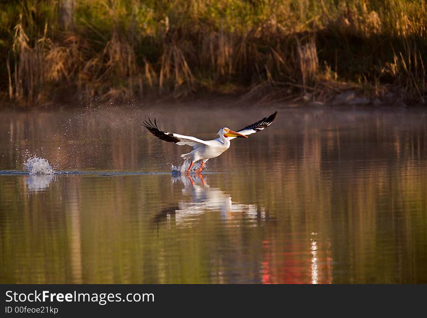 Smooth Landing