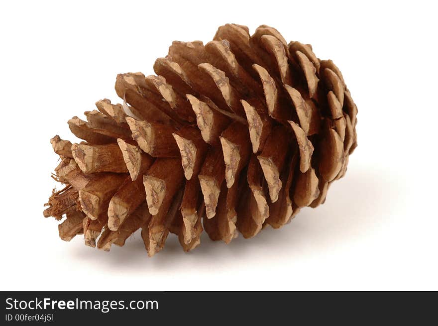 Single pine cone isolated on a white background. Single pine cone isolated on a white background.