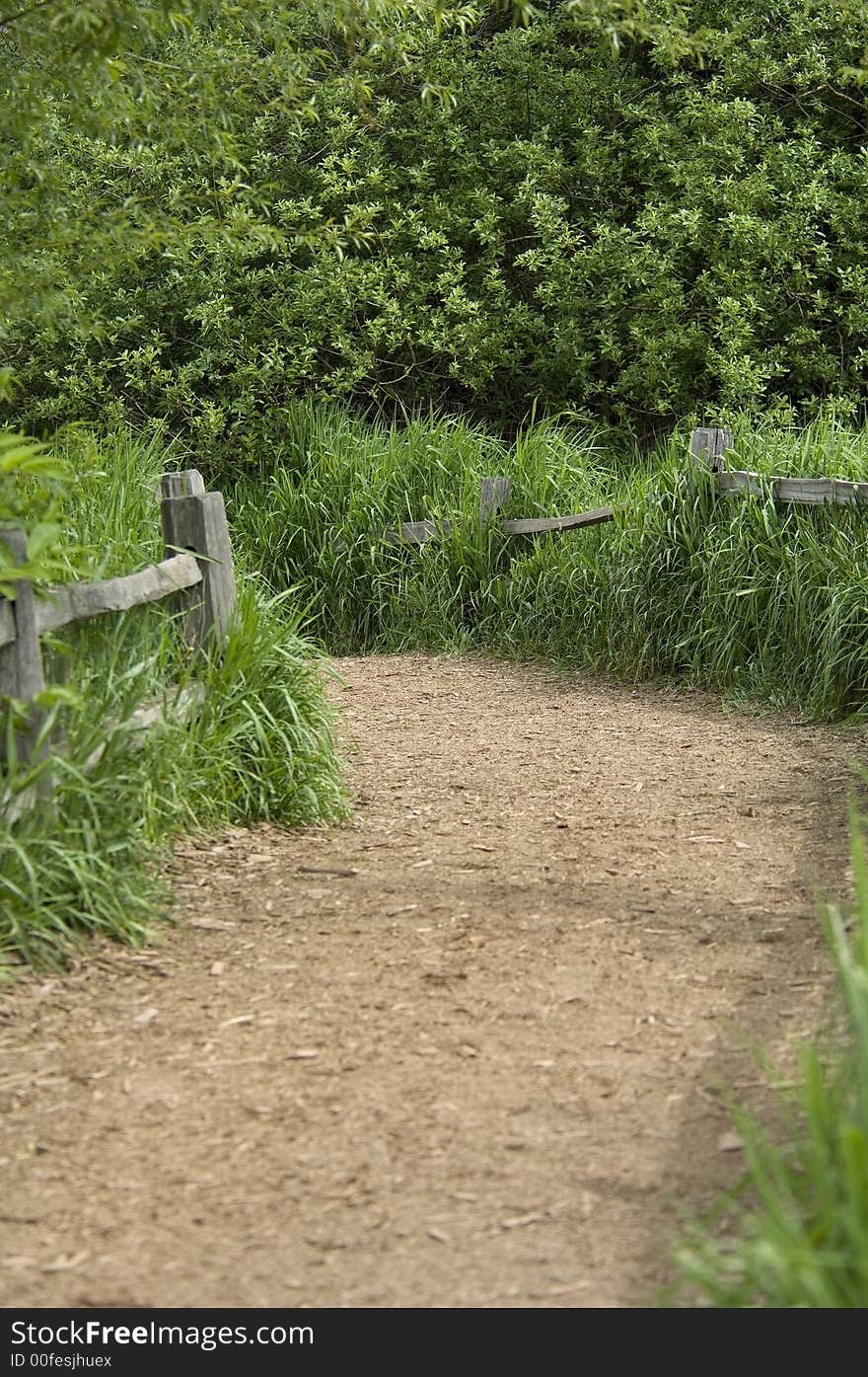 Hiking trail