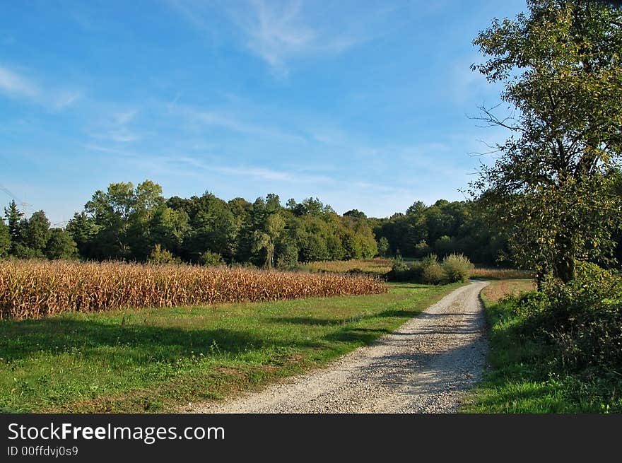 Landscape, empty country road at fall time. Landscape, empty country road at fall time