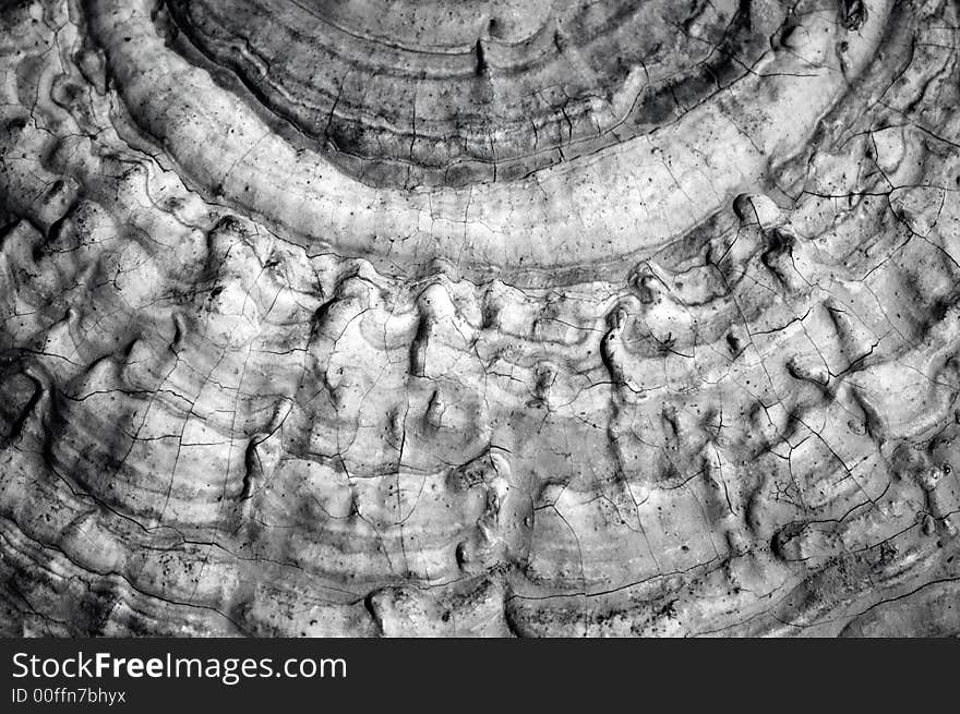 Rock - Field, photo in nature