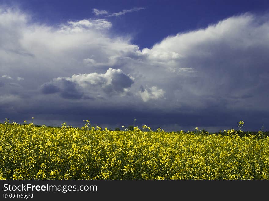 Landscape white yellow and blue sky. Landscape white yellow and blue sky