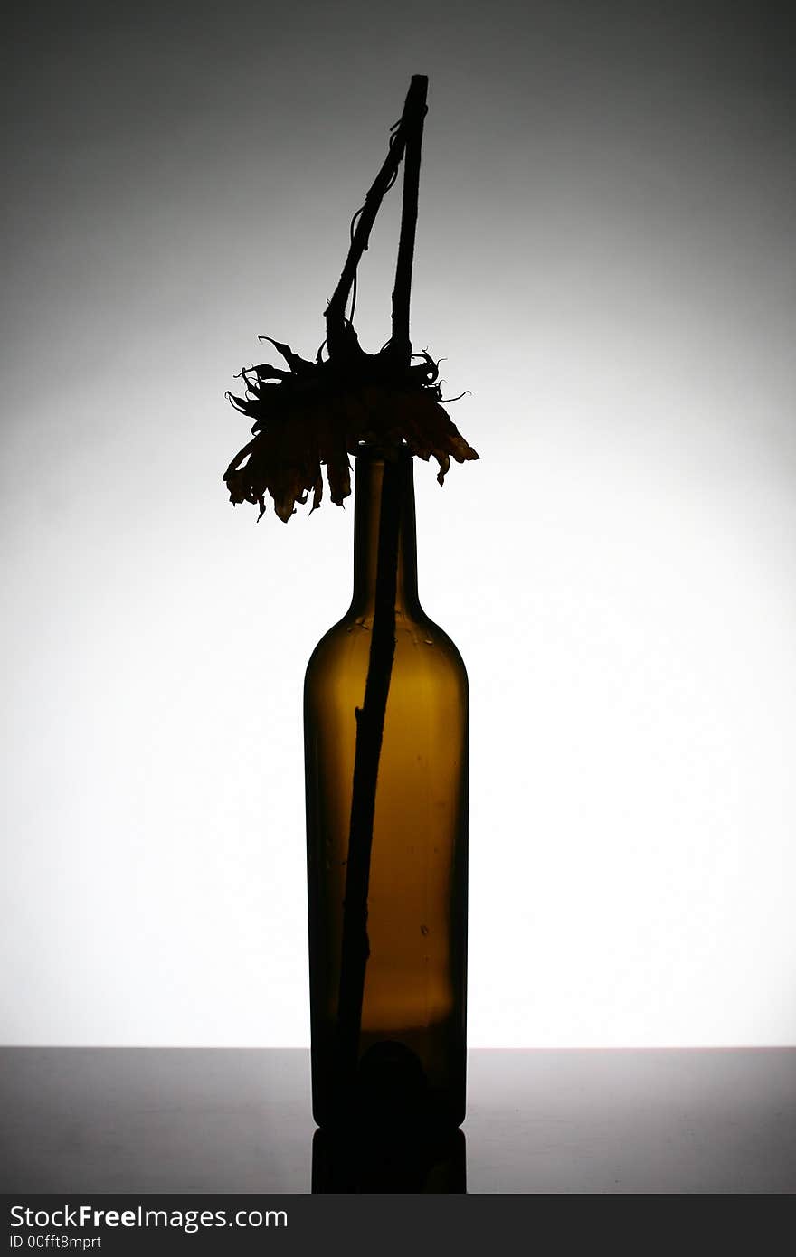 An isolated empty wine bottle with a fallen down flower