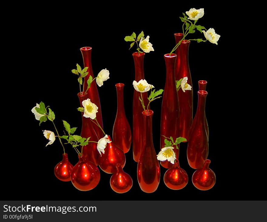 Many vases with jasmin flowers isolated on black background as interior design element. Many vases with jasmin flowers isolated on black background as interior design element