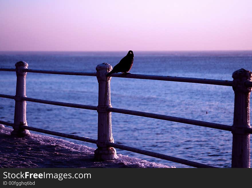 A beautiful sunrise over the sea