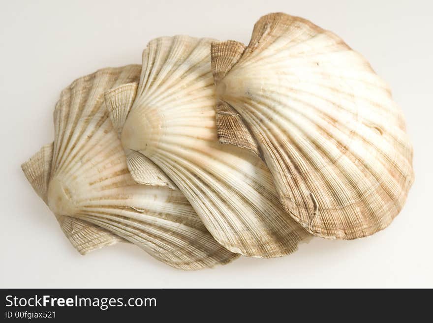 Cockleshells