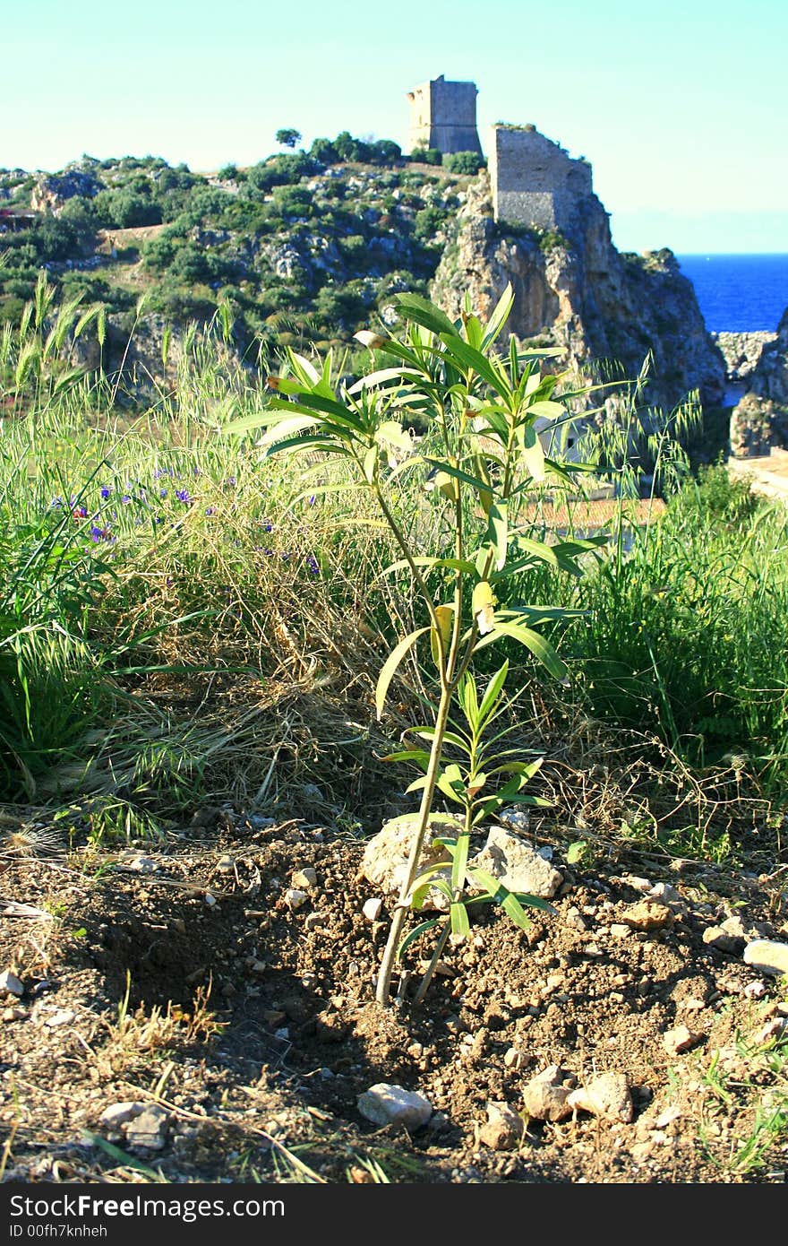 Amcient Normand construction. Architecture, history. sicliy, Italia. Mediterranean lanmdscape. Amcient Normand construction. Architecture, history. sicliy, Italia. Mediterranean lanmdscape.