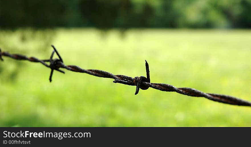 Barbed wire has always fascinated me so when I got this photograph I was thrilled!. Barbed wire has always fascinated me so when I got this photograph I was thrilled!