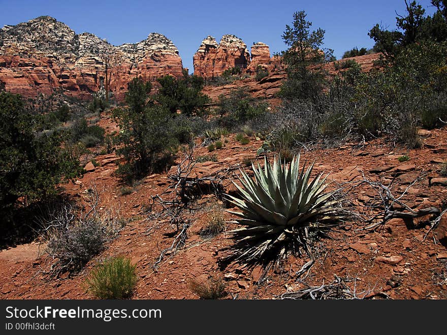 A beautiful landscape shot of the Arizona Desert