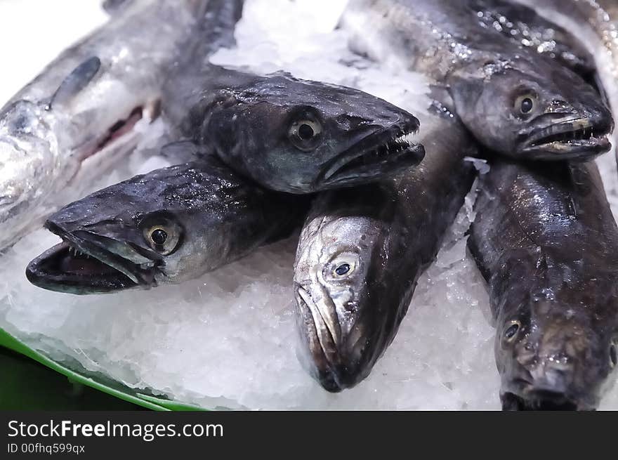 Fresh fish sold on weekly fish market