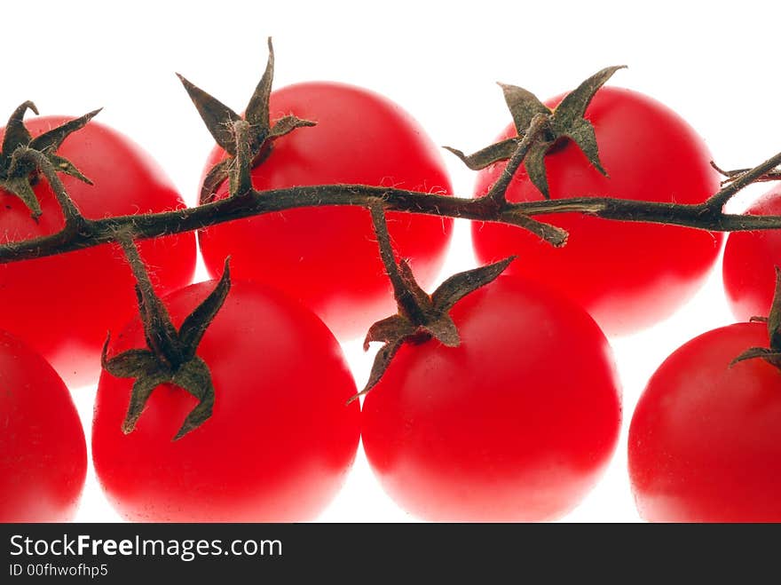 Chery tomatoes on light box