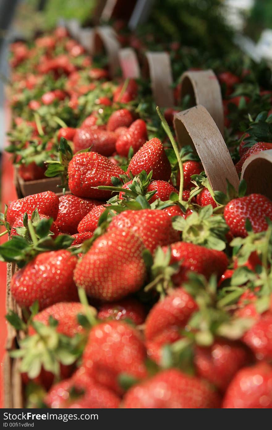 Fresh picked strawberrys for sale at a roadside stand in Concord, NC. Fresh picked strawberrys for sale at a roadside stand in Concord, NC.