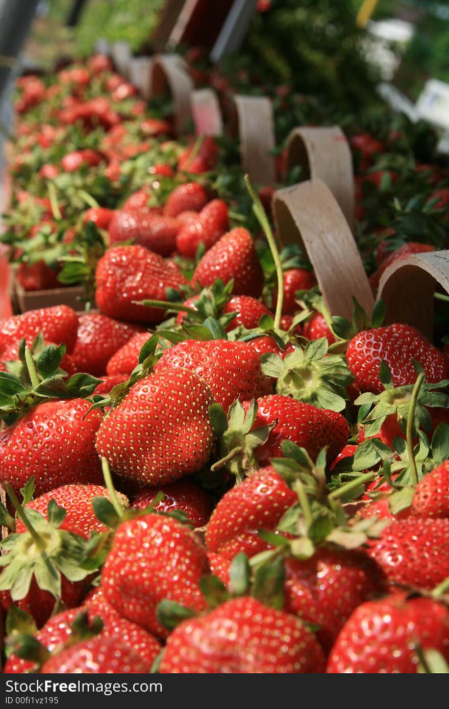 Fresh picked strawberrys for sale at a roadside stand in Concord, NC. Fresh picked strawberrys for sale at a roadside stand in Concord, NC.