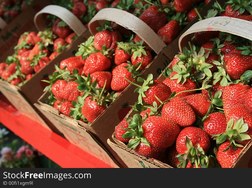 Berry Basket