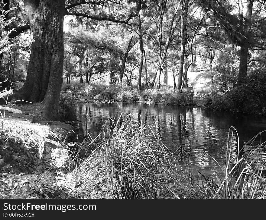 Black and white photo taken at Cotter, Australian Capital Territory