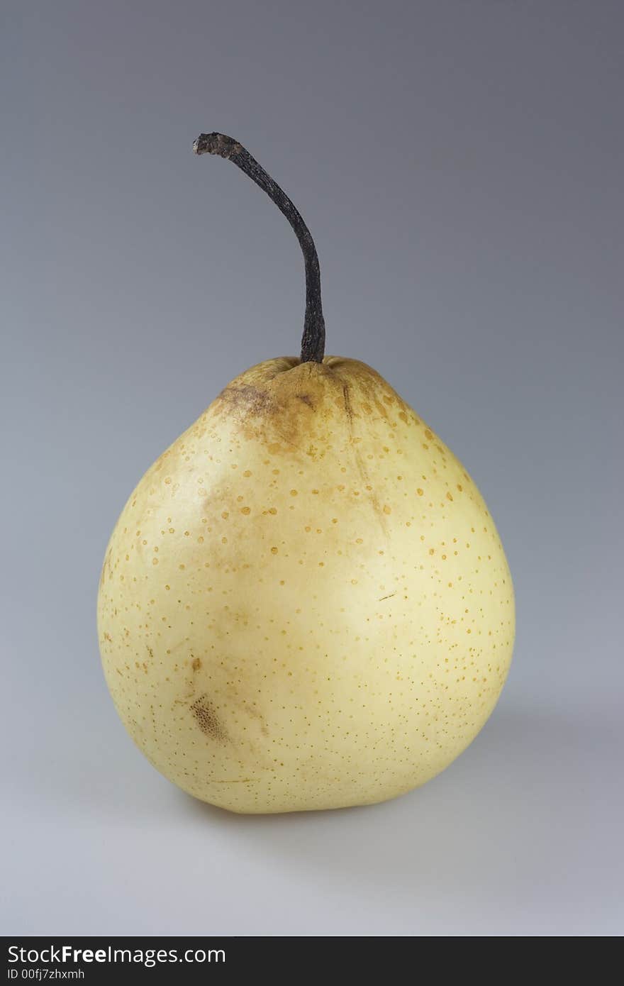 Chinese Pear