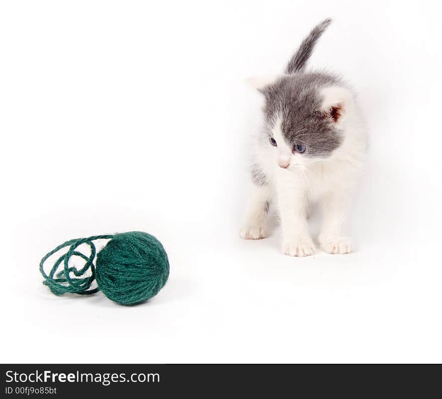 A gray and white kitten with a ball of yarn.