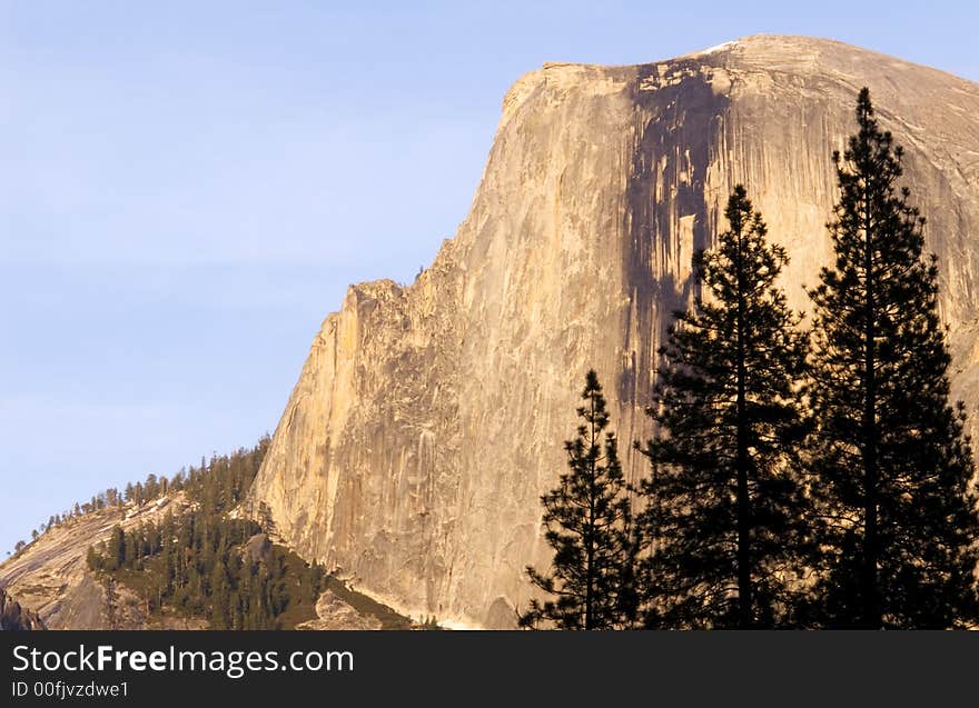 Half dome and tree silhouette