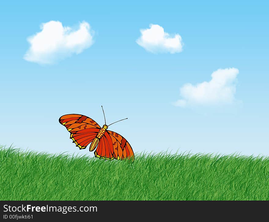 A colorful butterfly on the flower in a sunny day