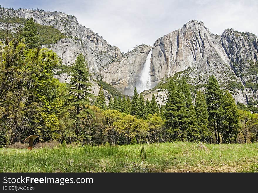 Yosemite fields of green