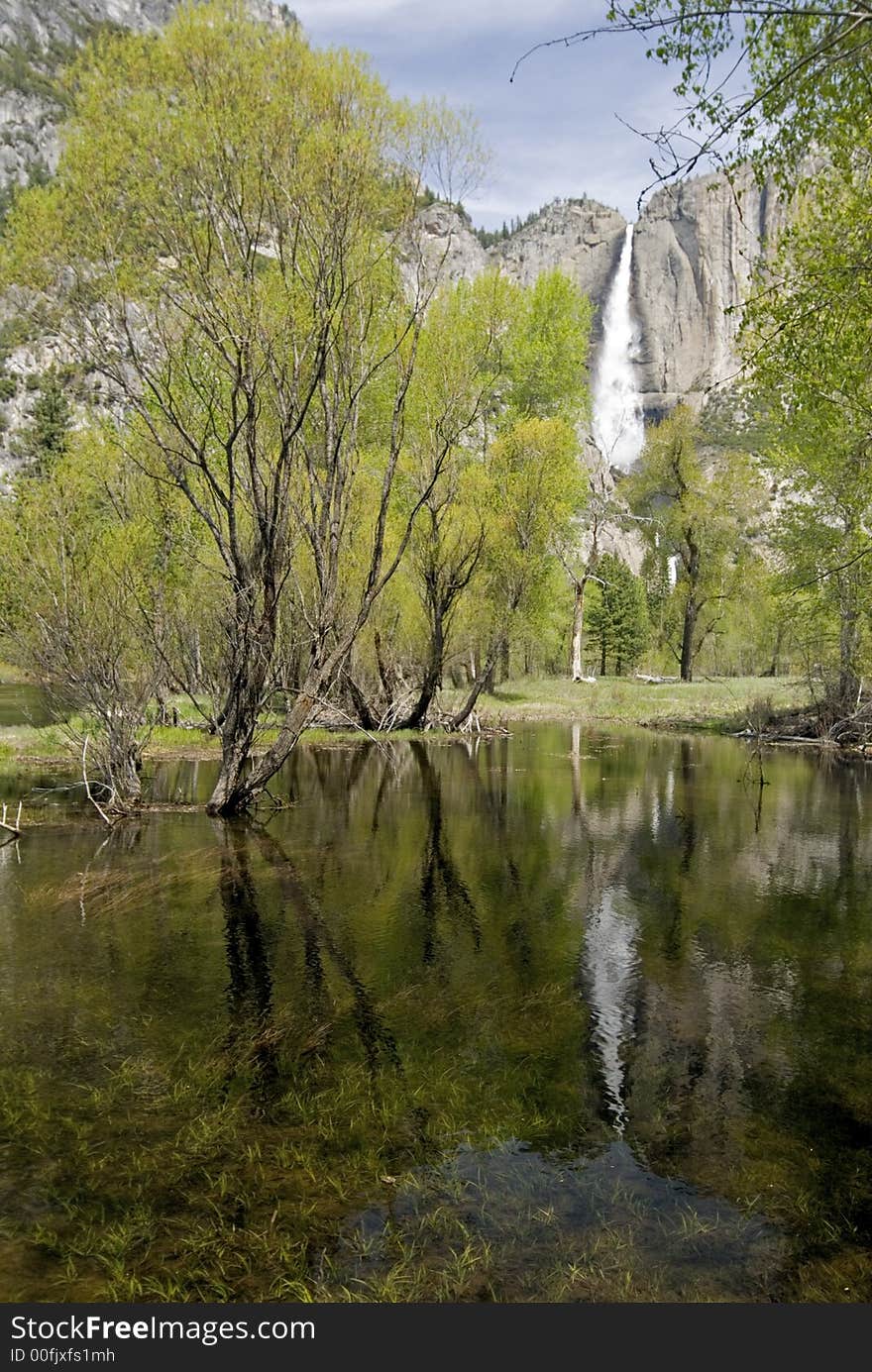 Standing Water