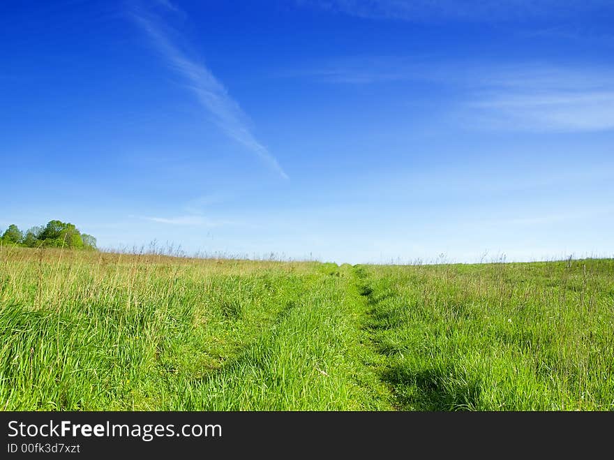 Meadow With Clouds.