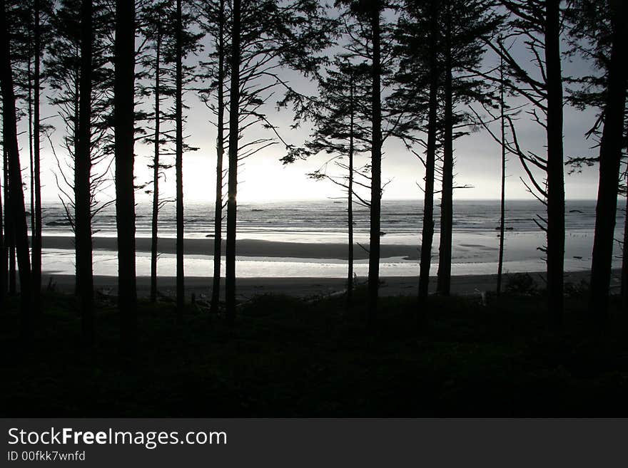 View of the Pacific Ocean near Ruby Beach, Olympic National Park. View of the Pacific Ocean near Ruby Beach, Olympic National Park