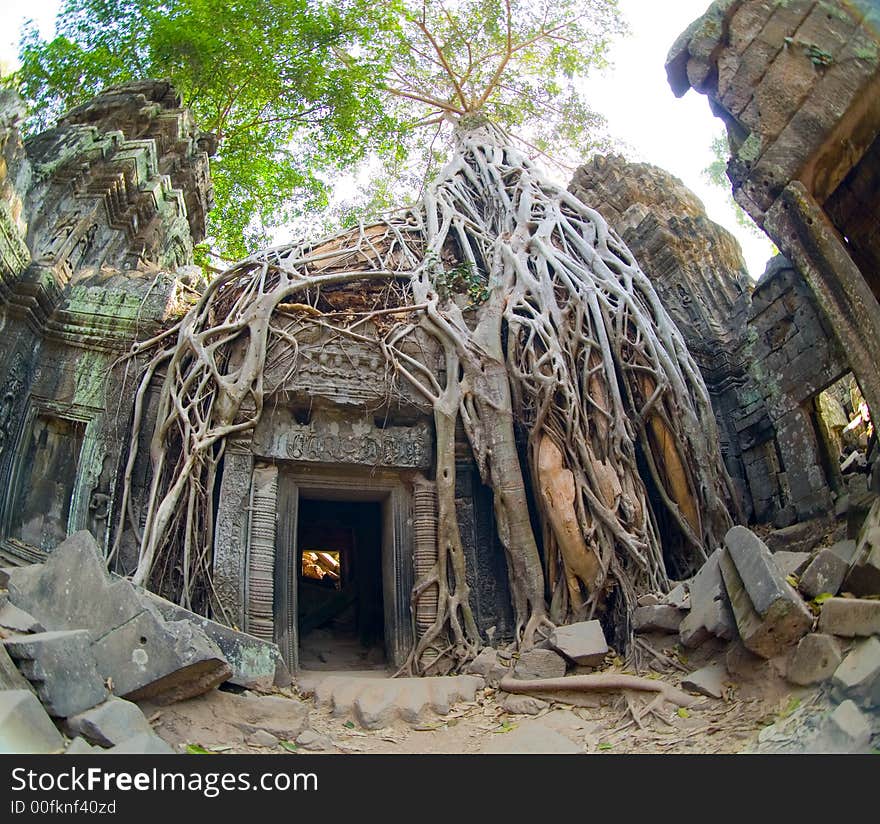 Ta Prohm Doorway