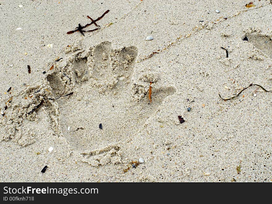 Trace by hand on grey sand. Trace by hand on grey sand