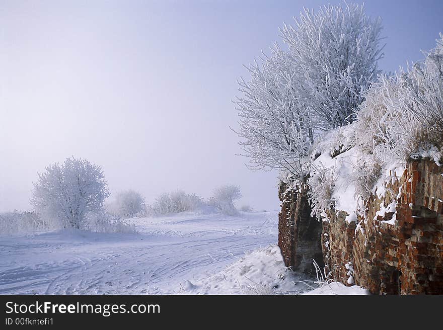 Frozen winter trees with ice and snow. Frozen winter trees with ice and snow