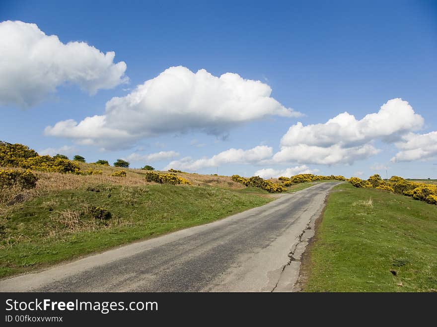 The blue sky road running through the English countryside in May.