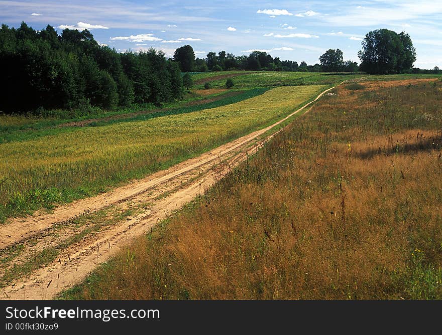 Country side summer picture with road and trees. Country side summer picture with road and trees