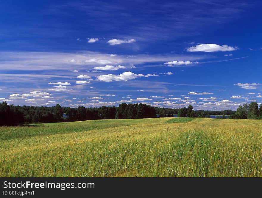 Country side summer picture with sky