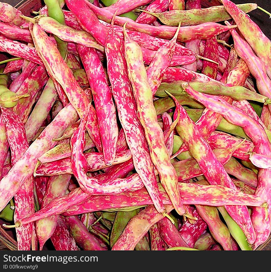 Close-up of a bushel of (unknown type) beans