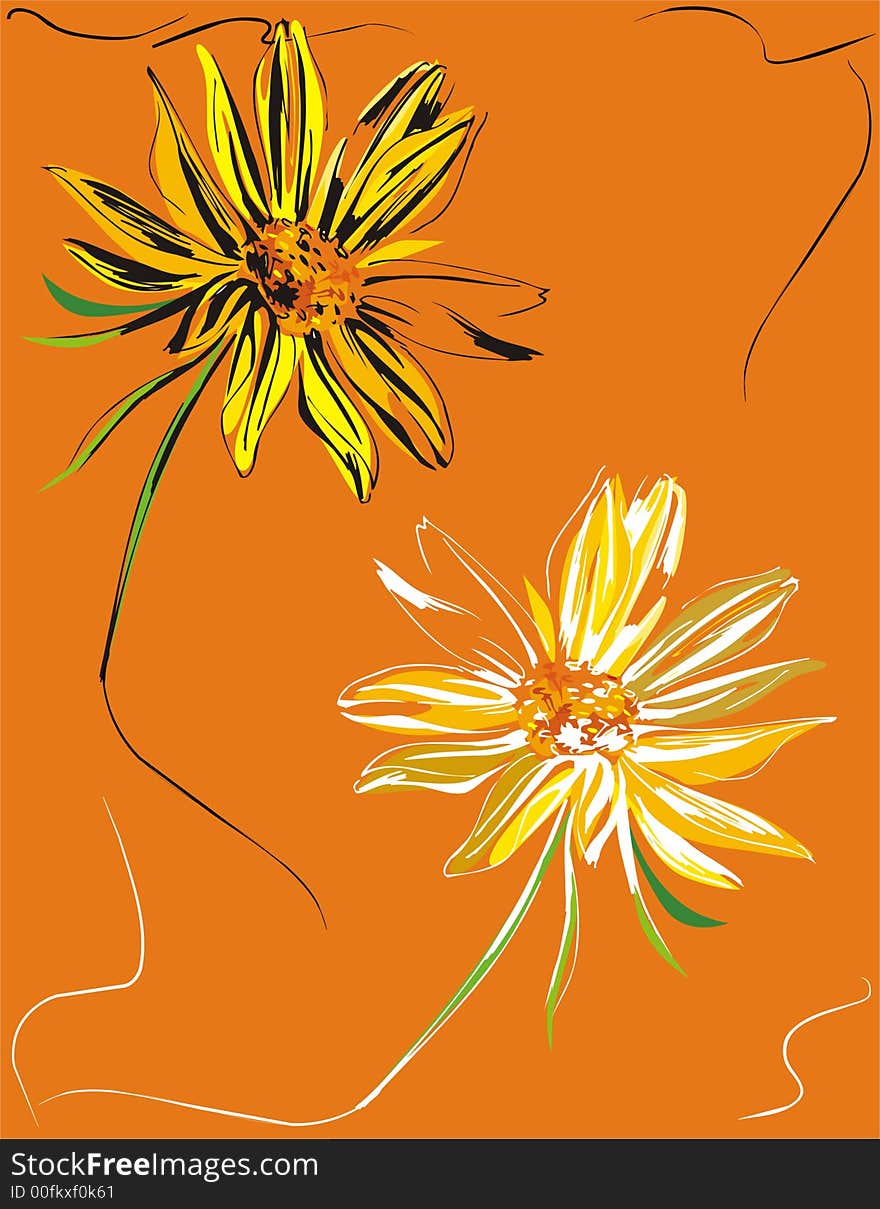 Flowers composition illustration hand made