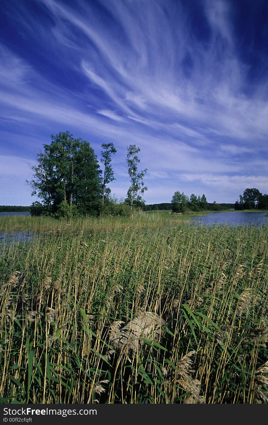 Summer lake landscape tree and clouds. Summer lake landscape tree and clouds