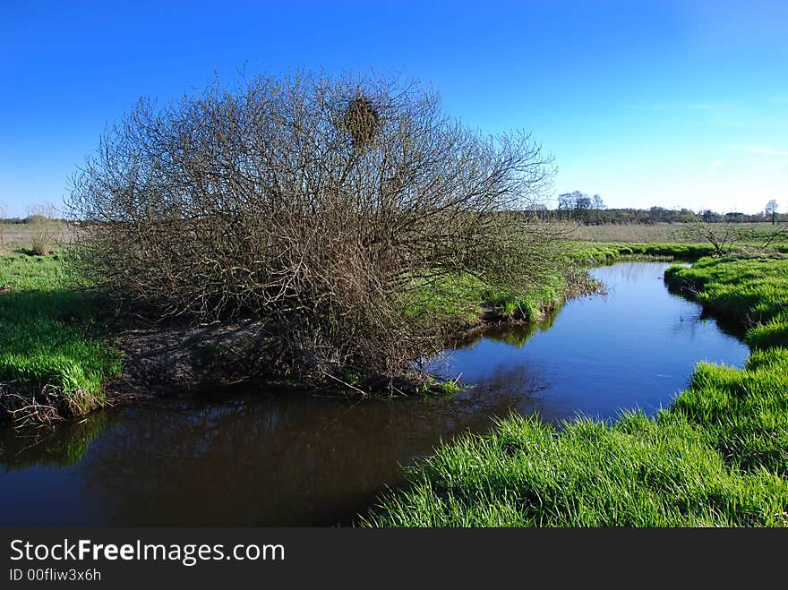 Spring landscape by the river