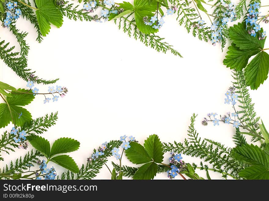 Forget-me-not flower border with green leaves for your design. Forget-me-not flower border with green leaves for your design