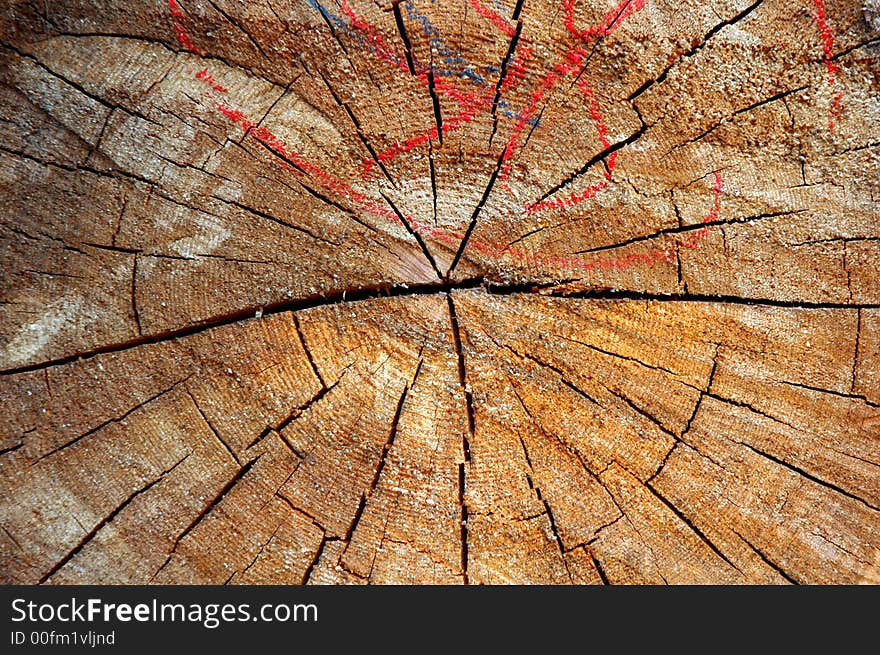 Wood in Sichuan,west of China