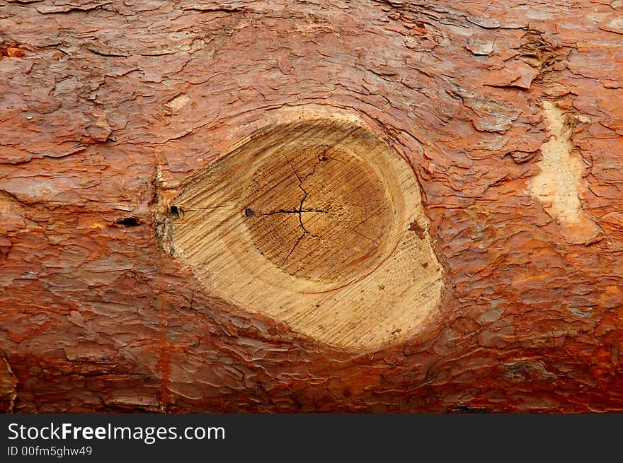 Wood in Sichuan,west of China