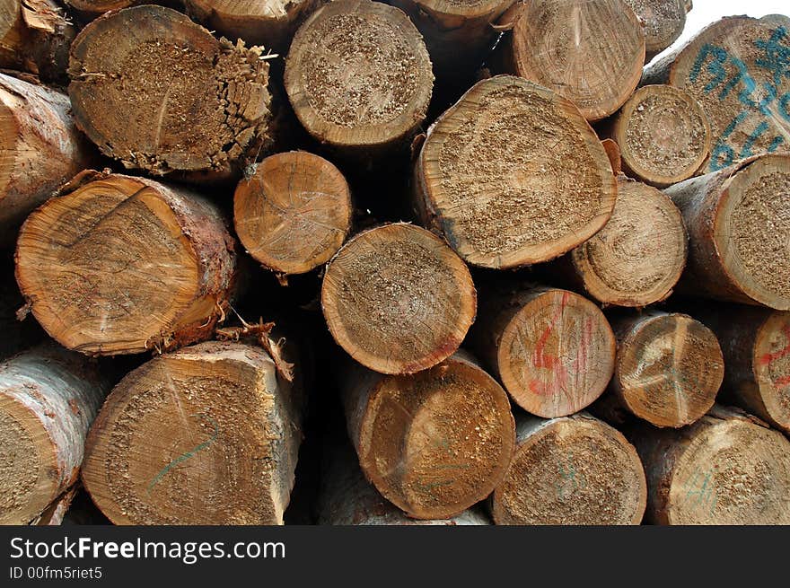 Wood in Sichuan,west of China