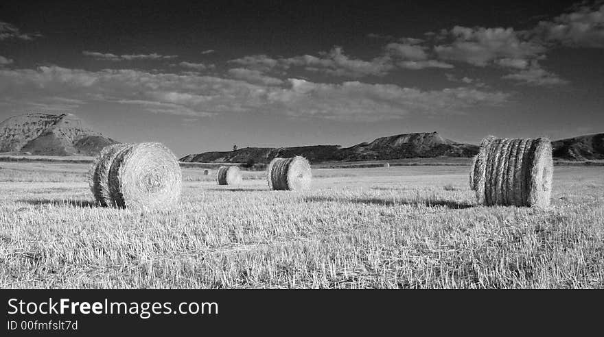 Field of hay bales