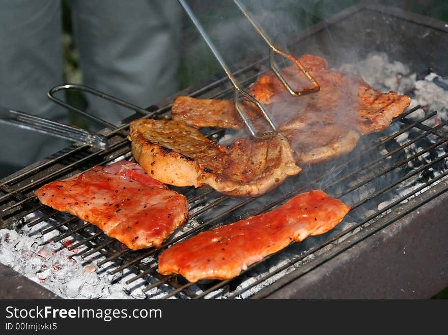 Barbecue in nature with friends