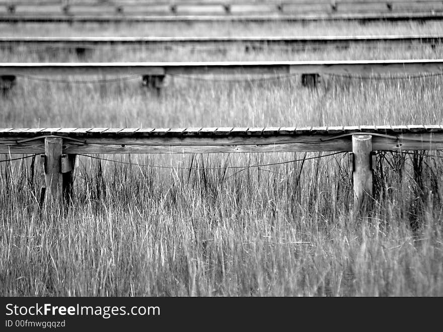 Docks in the marsh