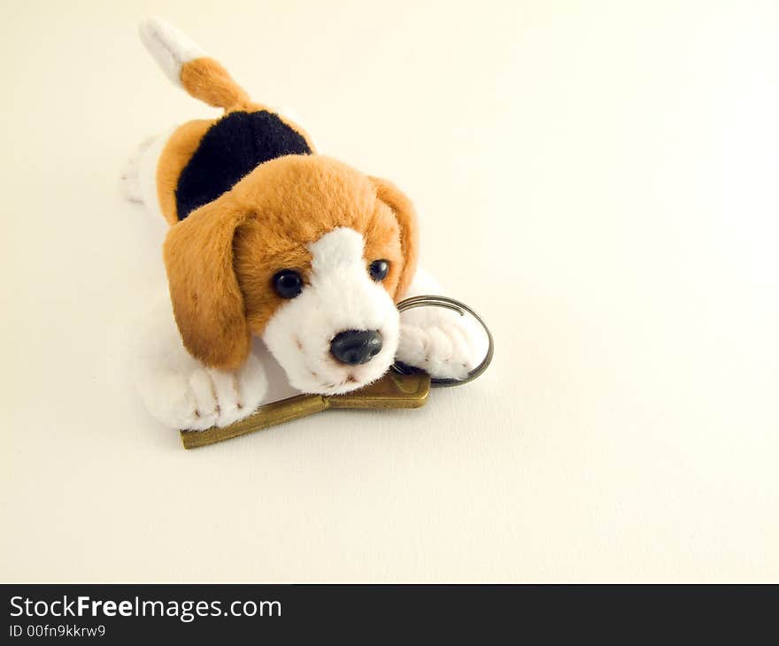 Dog whith keys on white background. Dog whith keys on white background