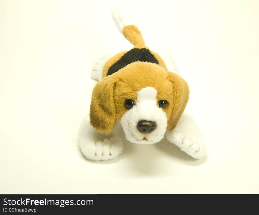 Little dog toy on white