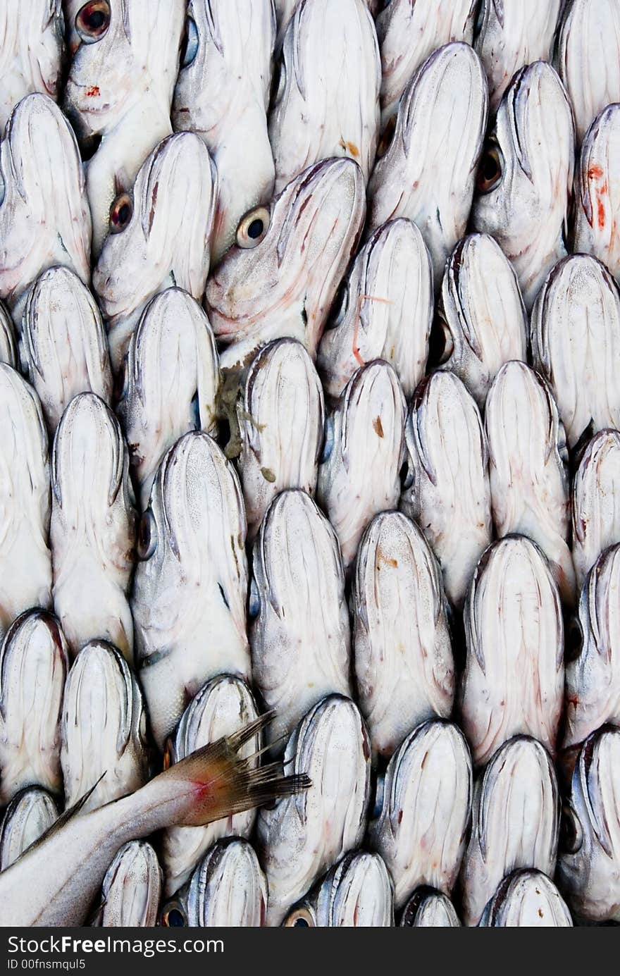 Some fishes stacked together in a market, essaouira, Morocco