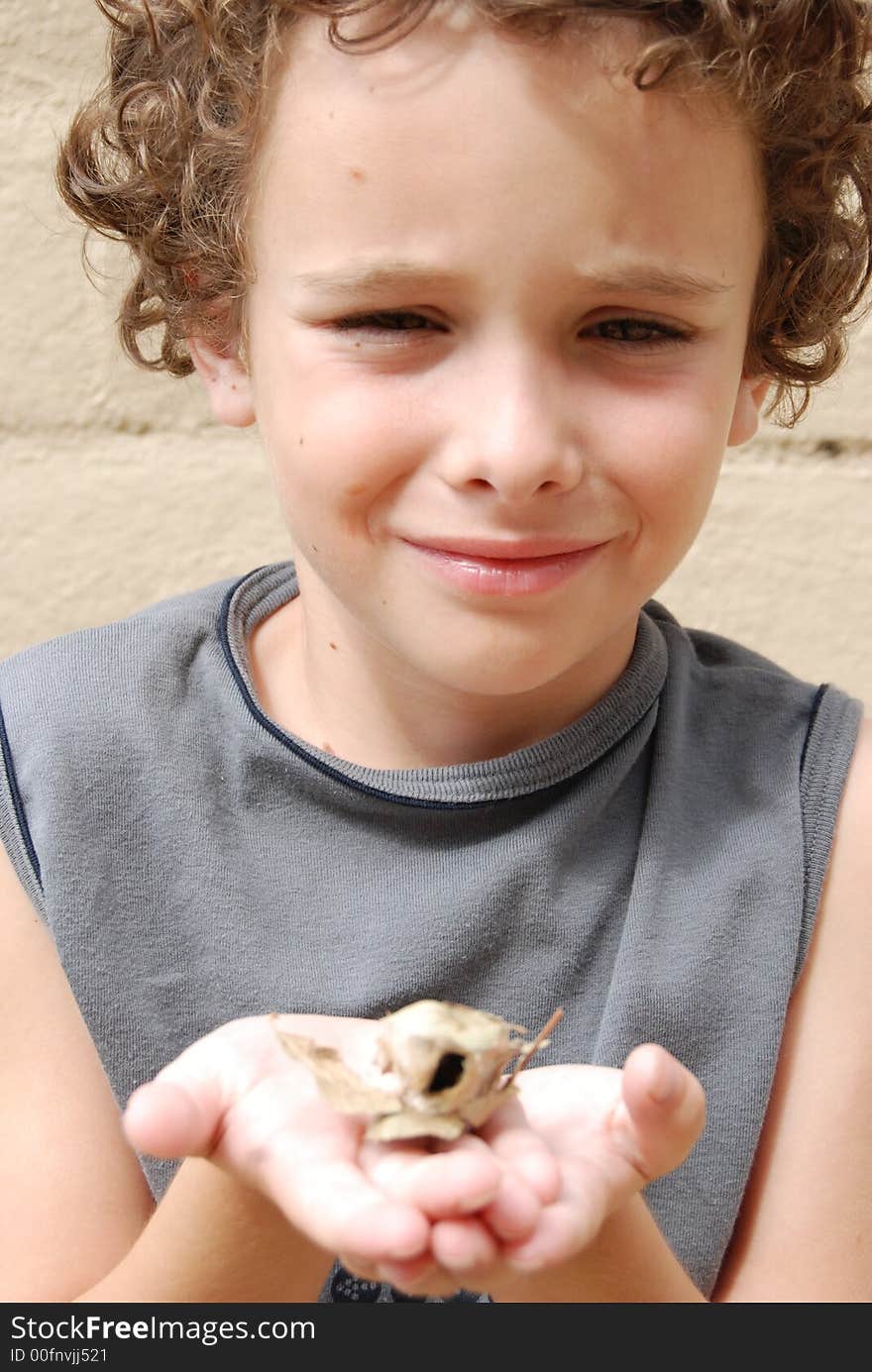 Boy holding a rare Poly Antheria moth coccoon where the moth just hatched from. Boy holding a rare Poly Antheria moth coccoon where the moth just hatched from